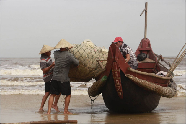 dau nam dan ra bien bat toan ca ngon, co loai ca ban 200 ngan/ky hinh anh 2