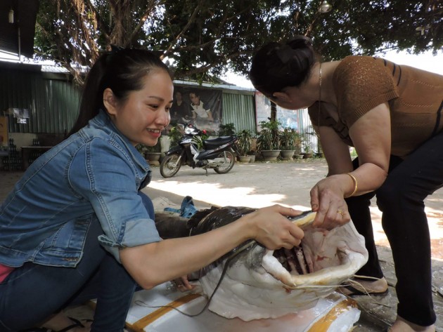 di cau tren song serepok, bat ngo bat duoc 2 con ca lang khong lo hinh anh 3