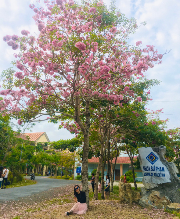 di lac vao coi mo voi duong hoa ken hong dep nhat mien tay hinh anh 6