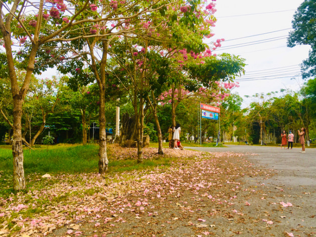 di lac vao coi mo voi duong hoa ken hong dep nhat mien tay hinh anh 8