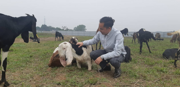 "di lac" vao trang trai nuoi loai de to bu nhu con be o dat thu do hinh anh 2