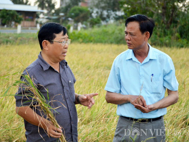 di qua mua han man o mien tay (ky cuoi): cung nhau vuot kho hinh anh 5