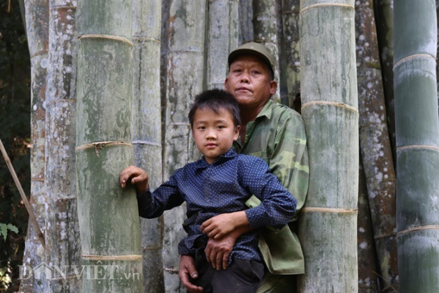 Đi tìm loài tre khổng lồ ví như "báu vật" trên đỉnh núi thiêng Sơn La2