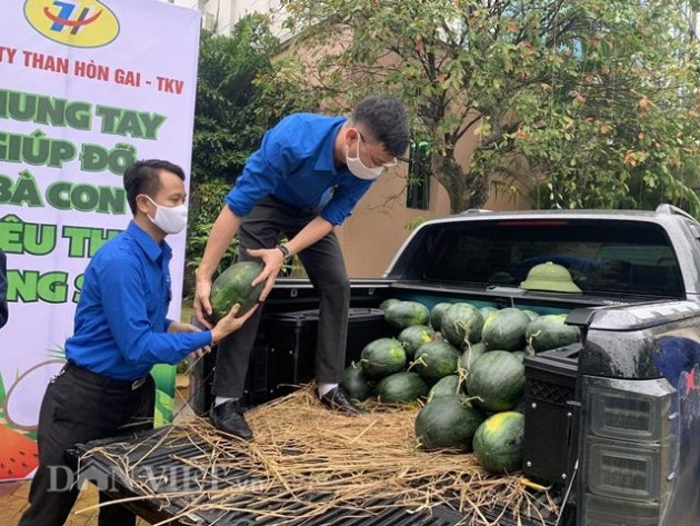 dich corona: quang ninh gui 4 van "tam long" den nguoi trong dua hinh anh 3