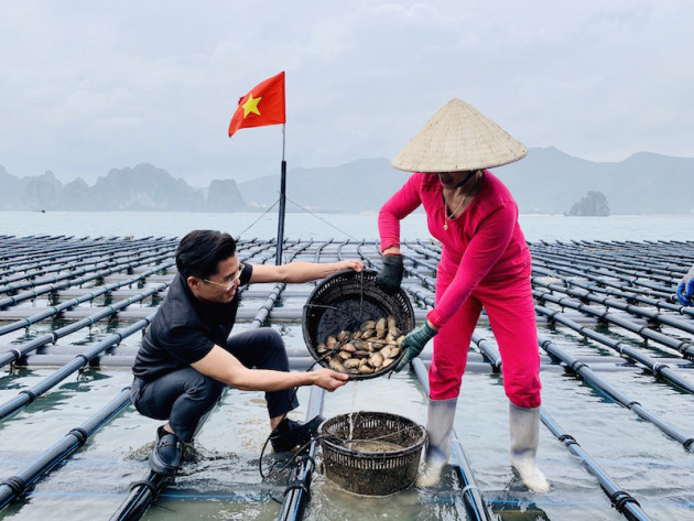 Dịch Covid-19: Báo Dân Việt làm cầu nối người nuôi ngao đến Vinmart