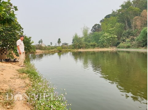 dien bien: moi nam thu nua ty dong tu trang trai "son thuy huu tinh" hinh anh 1