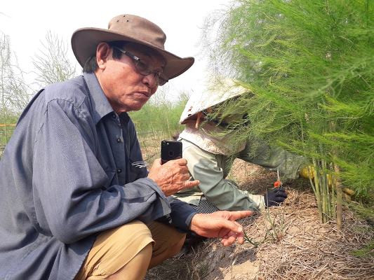 doc dao trang trai trong rau “hoang de” tien ty cua lao nong sai thanh hinh anh 2