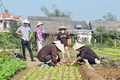 du lich nong nghiep: tiem nang lon, vi sao chua khai thac hieu qua? hinh anh 2