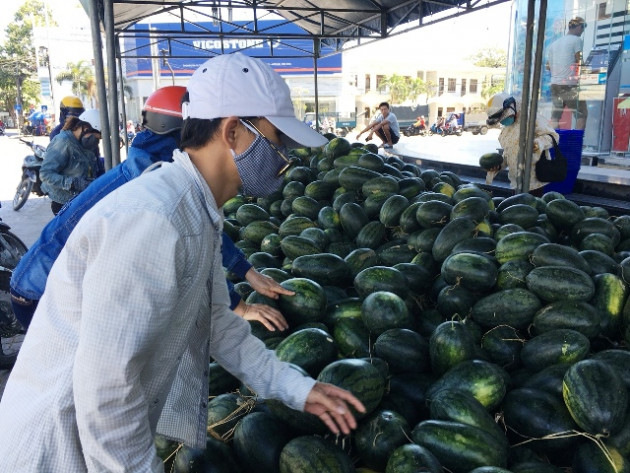 dua hau 2.900 dong/kg, dan nha trang chen nhau “giai cuu” hinh anh 2