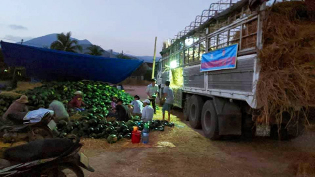 dua hau binh dinh gia 3.000 dong/kg, xe tai khuan sach gan 200 tan hinh anh 3