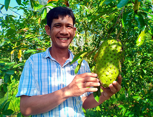 dua mang cau xiem ra ruong lai lam ca tra huu co, khong du ban hinh anh 2