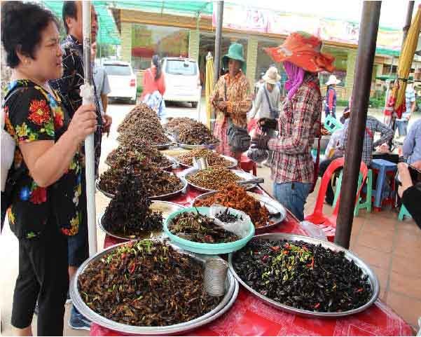 dung toc gay chung kien nguoi dan an ngon ca gian, ret, nhen, de hinh anh 1