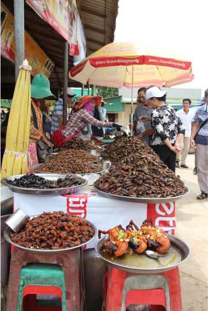 dung toc gay chung kien nguoi dan an ngon ca gian, ret, nhen, de hinh anh 3