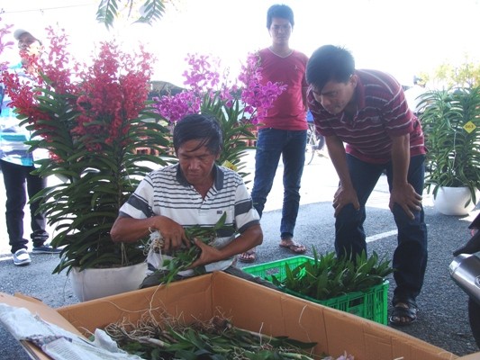 Festival VTNN Vĩnh Long: Hàng vạn cây giống đặc sản được lùng mua