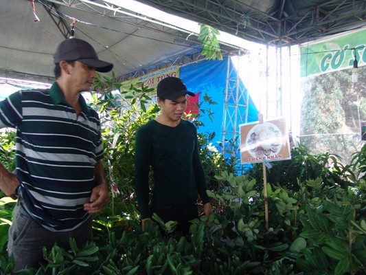 festival vtnn vinh long: hang van cay giong dac san duoc lung mua hinh anh 2