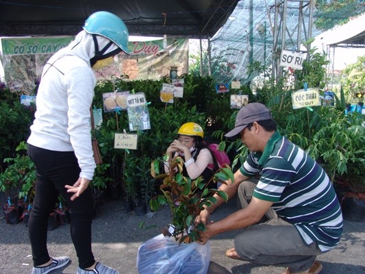 festival vtnn vinh long: hang van cay giong dac san duoc lung mua hinh anh 3