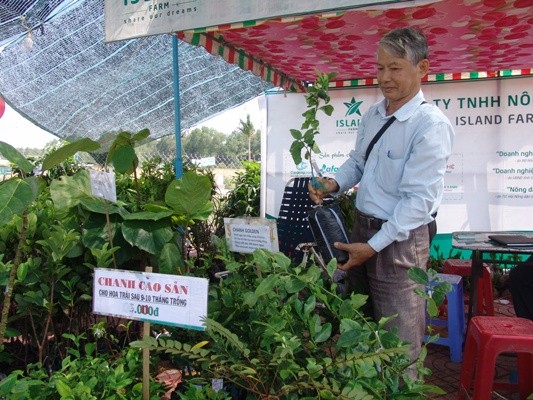 festival vtnn vinh long: hang van cay giong dac san duoc lung mua hinh anh 4