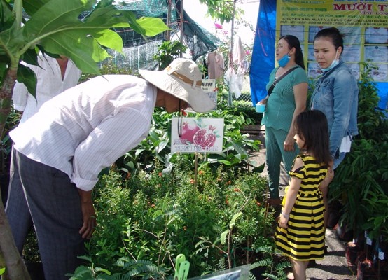 festival vtnn vinh long: hang van cay giong dac san duoc lung mua hinh anh 5