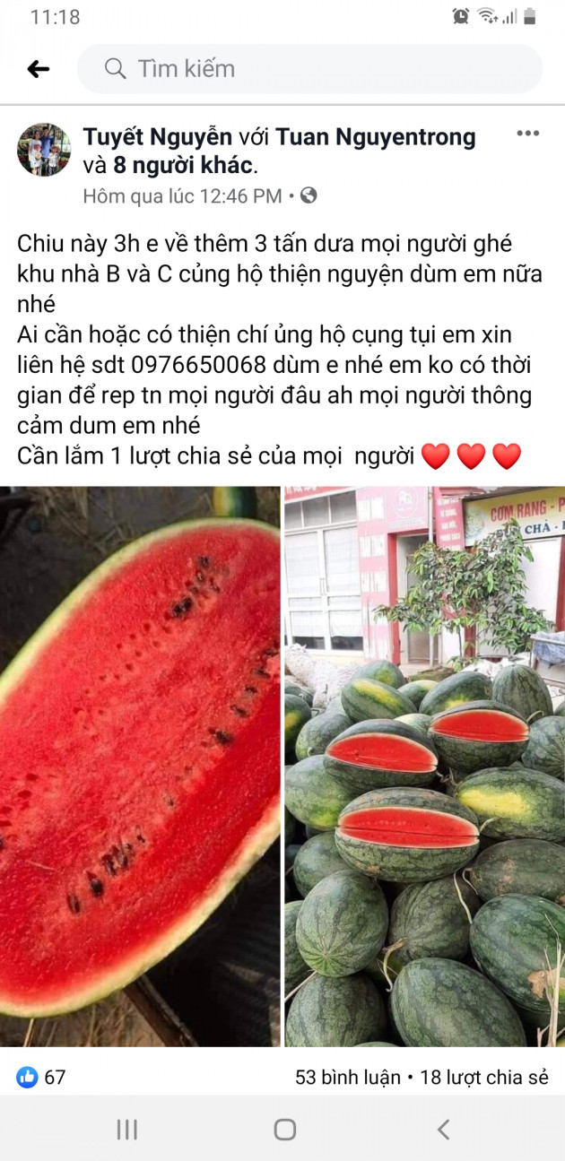 gia dua hau tay nguyen tang gap 2, 1 ngay ban 7 tan cho dan hinh anh 1