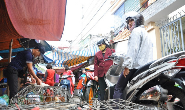 gia gia cam hom nay 22/2: vit thit tai cho hon 60.000 d/kg, dat gap doi tai chuong hinh anh 1