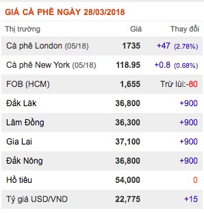 gia nong san hom nay 28/3: gia ca phe bat tang manh gan 1 trieu/tan, gia tieu chung lai hinh anh 2