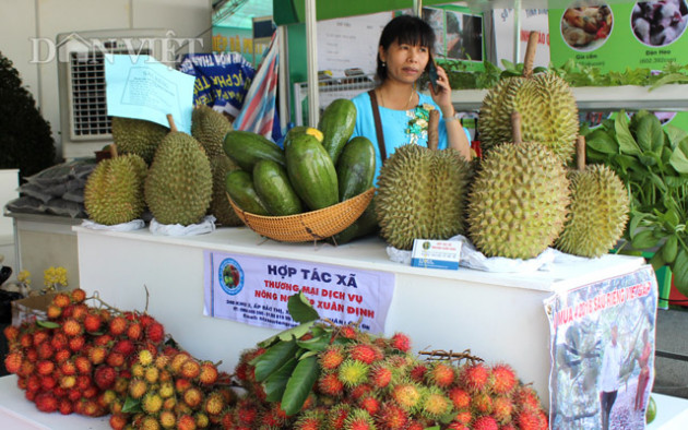 gia sau rieng tang ky luc: noi thu tien ty, noi vat va vi han man hinh anh 4