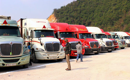 gia thanh long "loan cao cao", tang dot bien len 45.000 dong/kg hinh anh 2