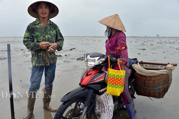 "giai cuu" nong thuy san khong xue, tinh quang ninh ban ke lau dai hinh anh 4