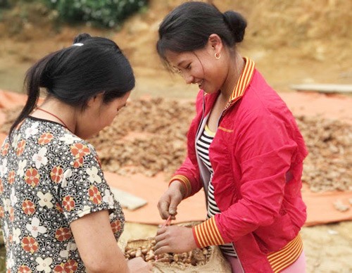 "giai cuu" thanh cong 70 tan nghe do cua dong bao mong, thai hinh anh 2