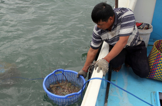 “giai cuu tom hum phu yen” gia 200.000 dong/ky, day la su that hinh anh 4