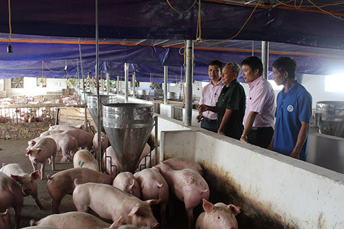 Hà Tĩnh: Học nghề bài bản, nông dân tự tin làm giàu