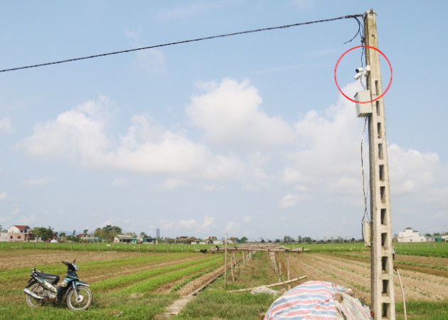 ha tinh: lap “mat than” canh bon trom chuyen di an cap rau hinh anh 2