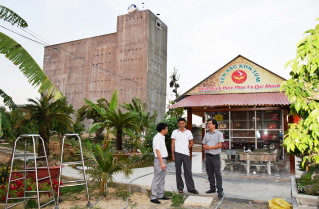 hai “ga khung” lieu di nuoi "chim troi tien ty" o kon tum hinh anh 2