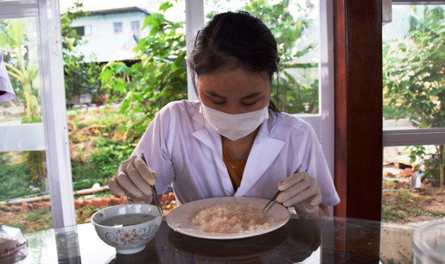 hai “ga khung” lieu di nuoi "chim troi tien ty" o kon tum hinh anh 6