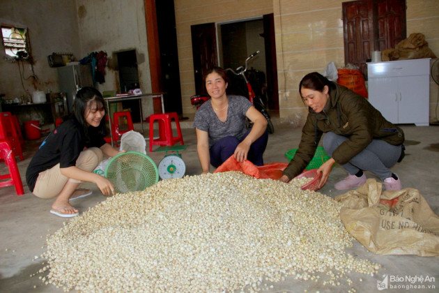 hanh tam xu nghe duoc mua nho thu la phu "quy nhu vang" hinh anh 5