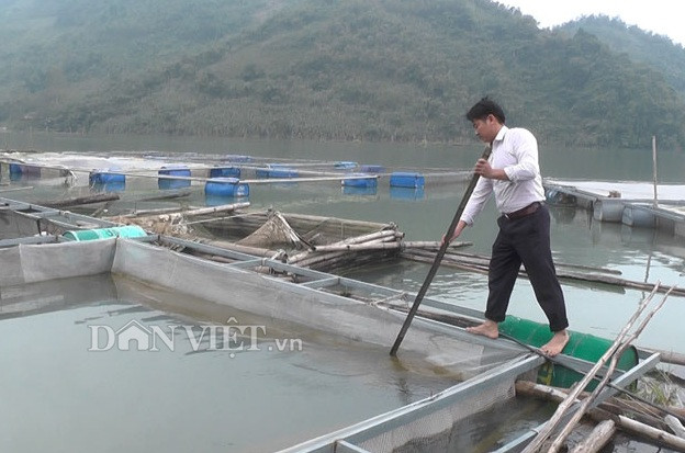 hoa binh: cho ca an co voi, la chuoi, khach goi dien hoi mua suot hinh anh 1