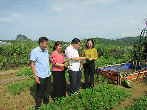 Hòa Bình: Học nghề bài bản, nông dân mau khấm khá