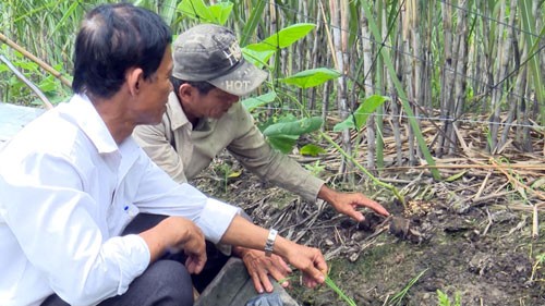 hon loan thi truong phan bon: ban phan dom, chiet khau cao hon hinh anh 2