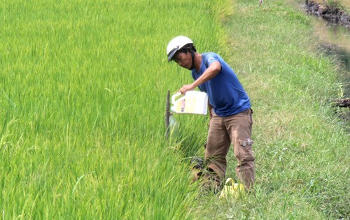 Hỗn loạn thị trường phân bón: DN lo ngại "đẻ" thêm giấy phép con