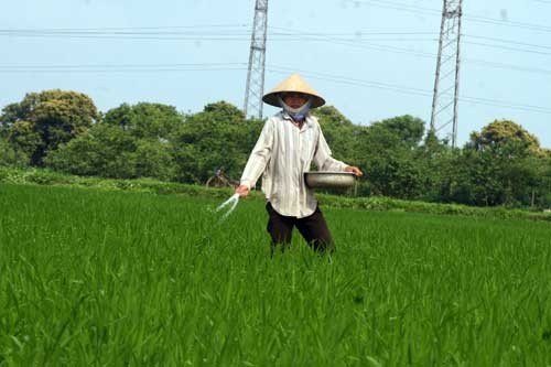 hon loan thi truong phan bon: doi pho doanh nghiep “cuoc, xeng” hinh anh 1