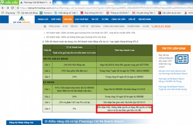 hua cap "so hong" cho condotel, flamingo group ban hang ngoai luat? hinh anh 3
