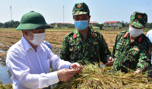 Huế: 11.000 ha lúa thiệt hại, Chủ tịch tỉnh xuống đồng động viên nông dân2