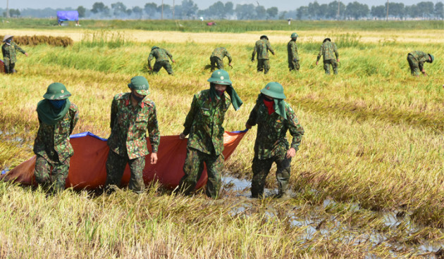 hue: 11.000 ha lua thiet hai, chu tich tinh xuong dong dong vien nong dan hinh anh 2