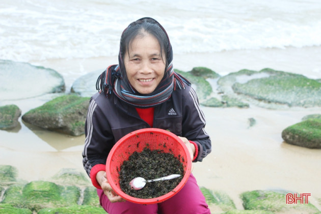 i oi goi nhau ra ke bien cao rong tuoi, ban gia 400.000 dong/kg hinh anh 7