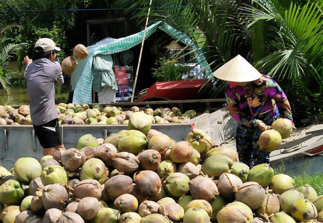 JICA hỗ trợ tỉnh Bến Tre giải bài toán thiếu nguồn nước ngọt