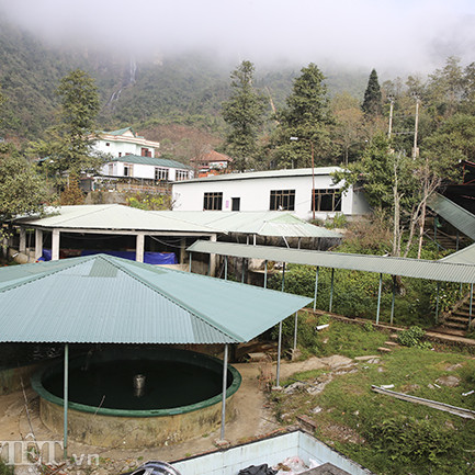 kham pha quy trinh nuoi ca hoi duoi chan “noc nha dong duong&quot; hinh anh 1