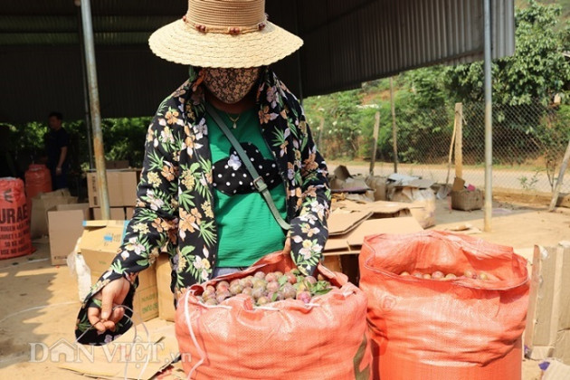 kho han, mua da lien mien, man son la la nhieu hon qua, dan lo hinh anh 5