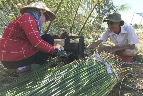 khong ngo thu co "ngoai co", moc hoang o dam lay nay lai co gia cao hinh anh 2