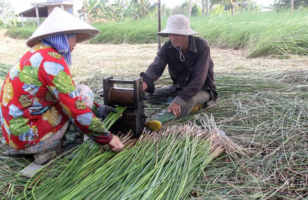 khong ngo thu co "ngoai co", moc hoang o dam lay nay lai co gia cao hinh anh 4