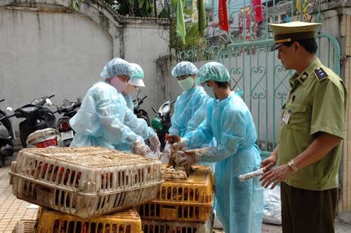 Kinh hoàng cúm A/H7N9 cướp mạng sống của 621 người Trung Quốc